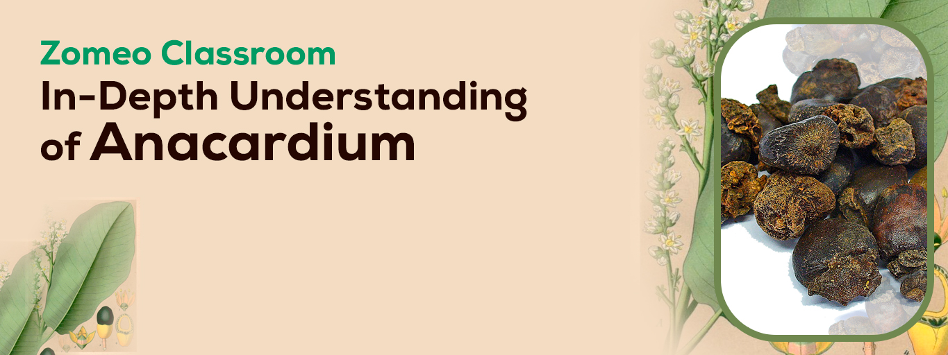 In-Depth Understanding of Anacardium