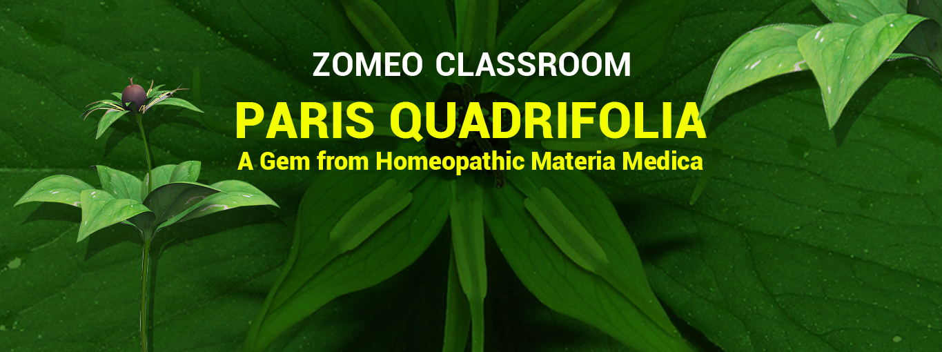 Paris Quadrifolia - A Gem from Homeopathy Materia Medica